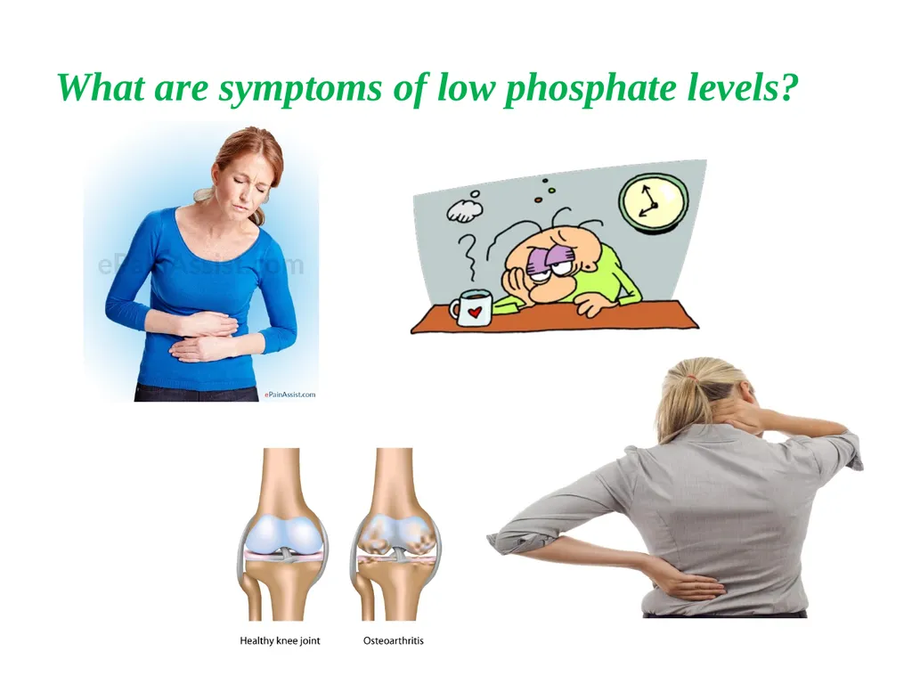 Blood Phosphorus Presented By Assist.Lecturer - slide 5 of 10