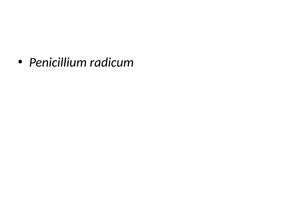 Phosphate solubilizing microorganisms Use of - slide 11 of 11