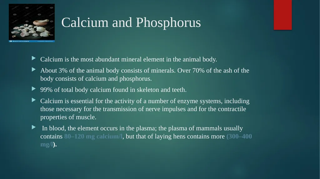 BIHAR ANIMAL SCIENCUNIVERSITY BIHAR VETERINARY - slide 2 of 11