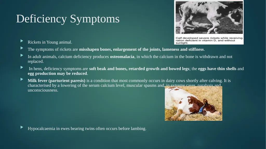 BIHAR ANIMAL SCIENCUNIVERSITY BIHAR VETERINARY - slide 4 of 11
