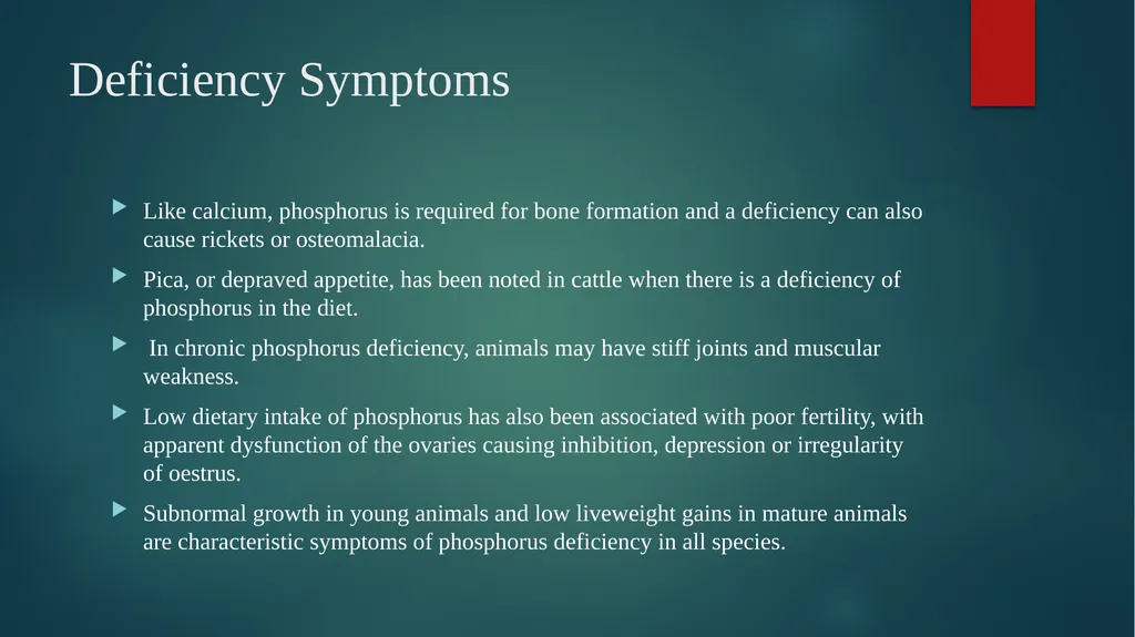 BIHAR ANIMAL SCIENCUNIVERSITY BIHAR VETERINARY - slide 8 of 11