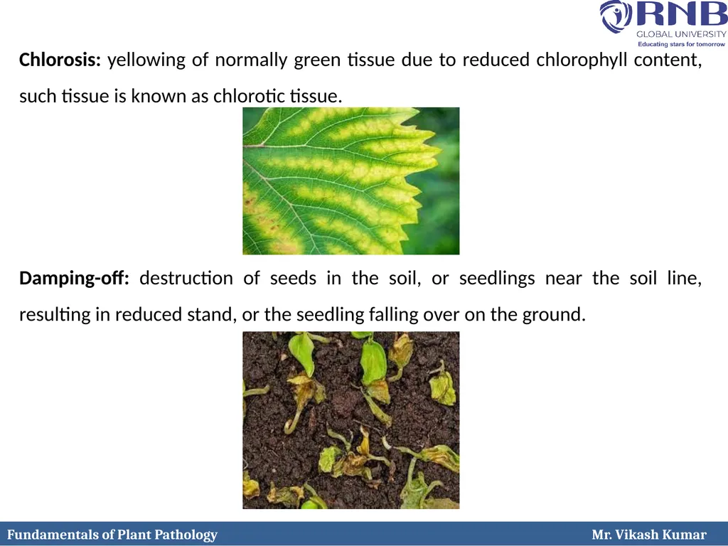 Course Name: Fundamentals of Plant Pathology - slide 18 of 26