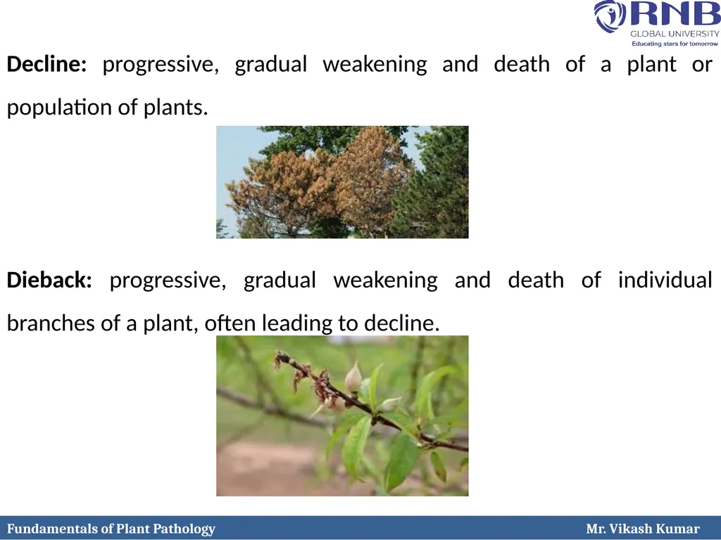 Course Name: Fundamentals of Plant Pathology - slide 19 of 26