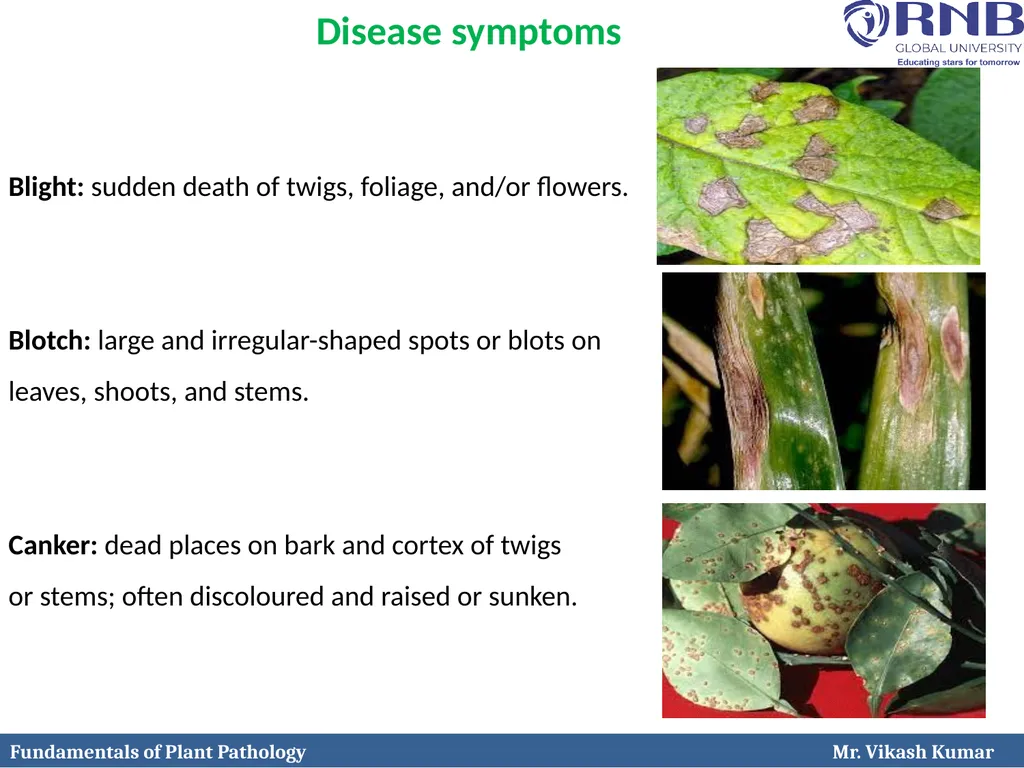 Course Name: Fundamentals of Plant Pathology - slide 17 of 26