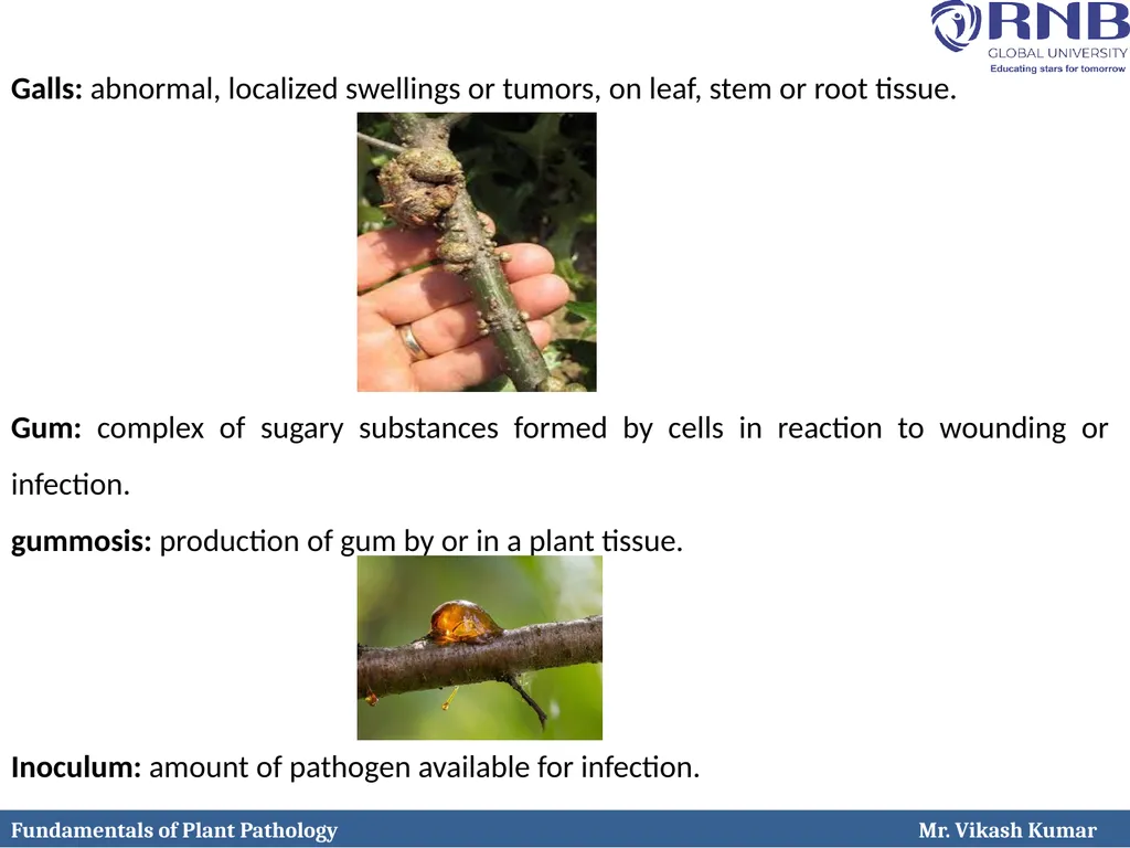Course Name: Fundamentals of Plant Pathology - slide 20 of 26
