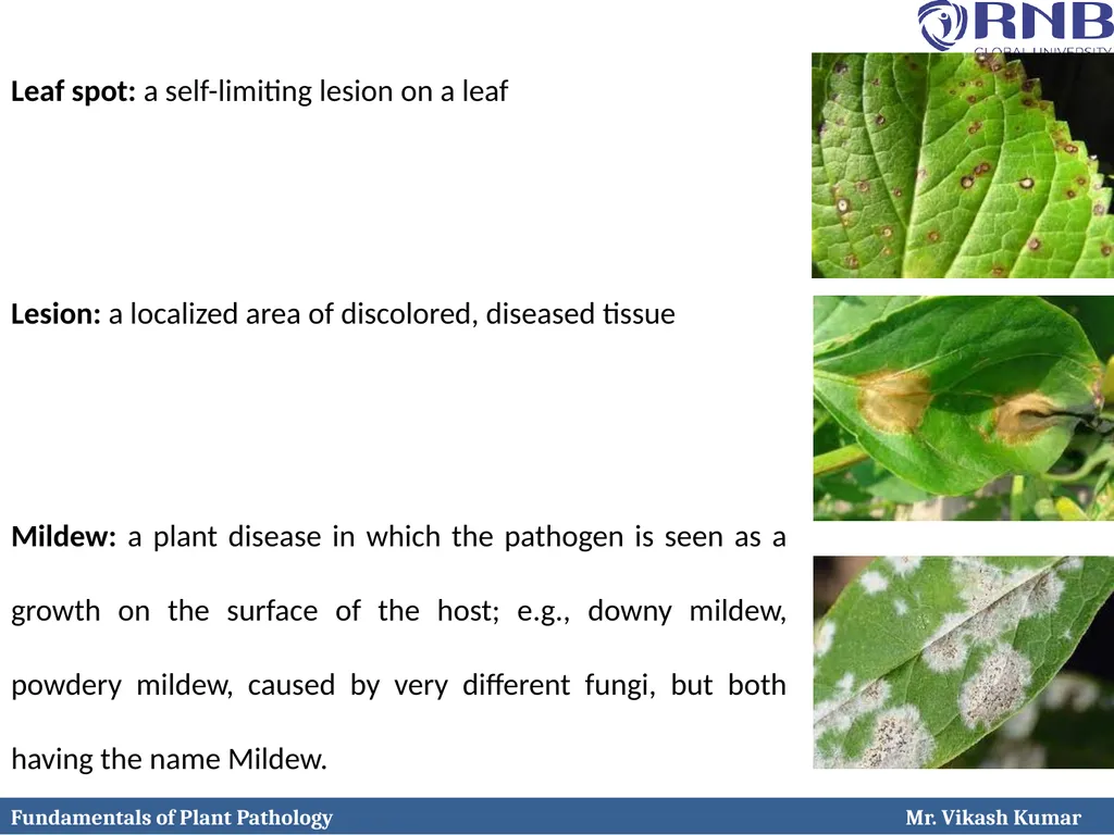 Course Name: Fundamentals of Plant Pathology - slide 21 of 26