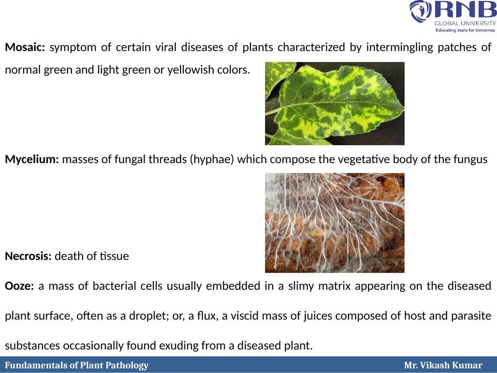 Course Name: Fundamentals of Plant Pathology - slide 22 of 26