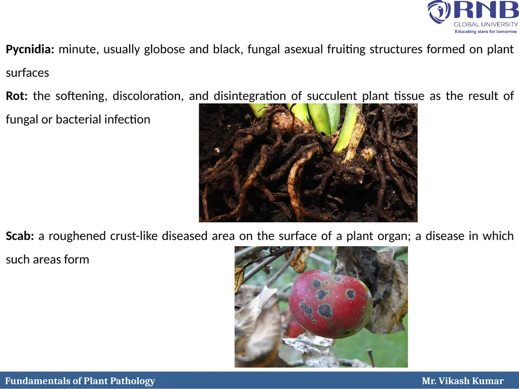 Course Name: Fundamentals of Plant Pathology - slide 23 of 26