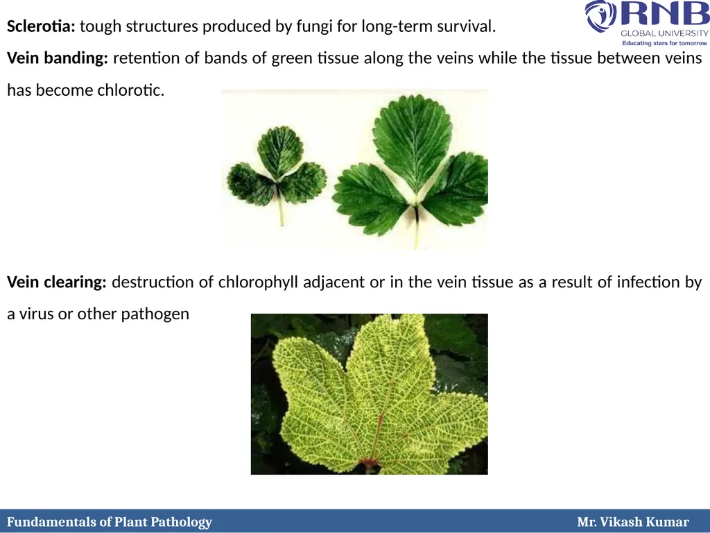 Course Name: Fundamentals of Plant Pathology - slide 24 of 26