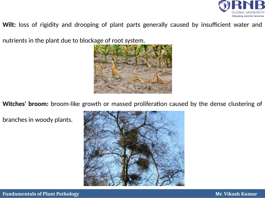 Course Name: Fundamentals of Plant Pathology - slide 25 of 26