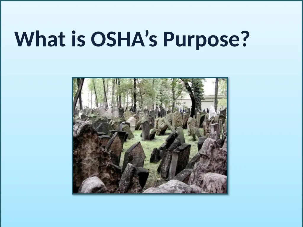 BLOODBORNE PATHOGENS “The OSHA Bloodborne Pathogen - slide 3 of 90