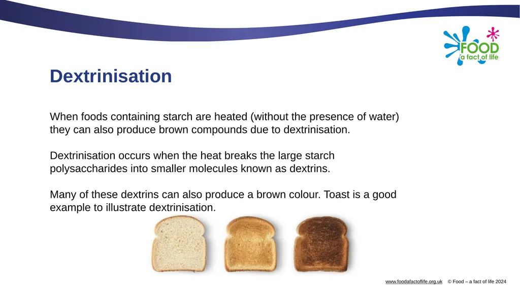 Carbohydrates and their functional properties in - slide 11 of 15