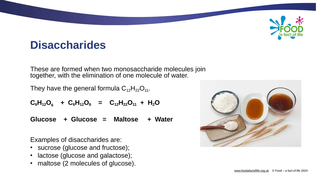 Carbohydrates and their functional properties in - slide 6 of 15