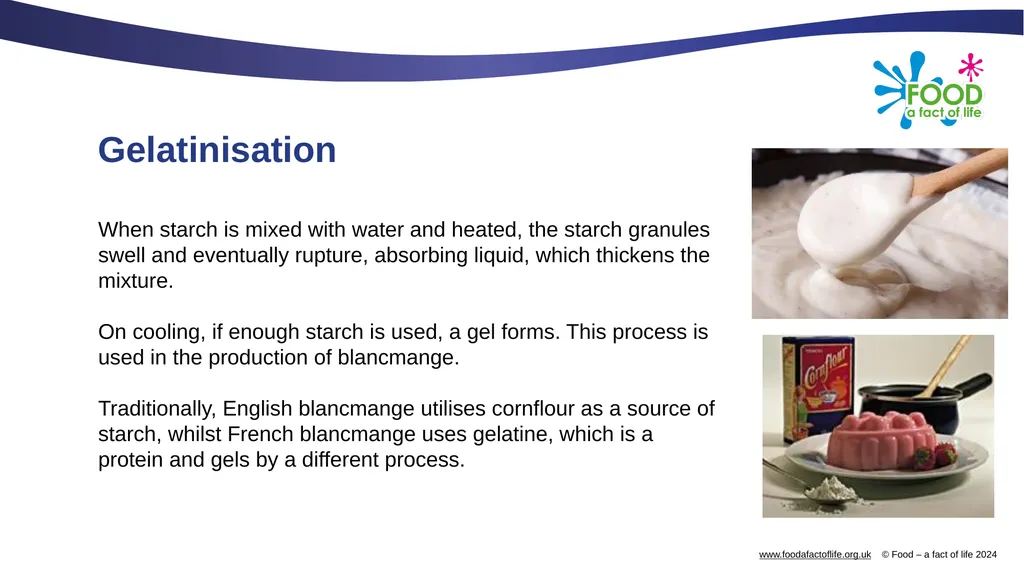 Carbohydrates and their functional properties in - slide 13 of 15
