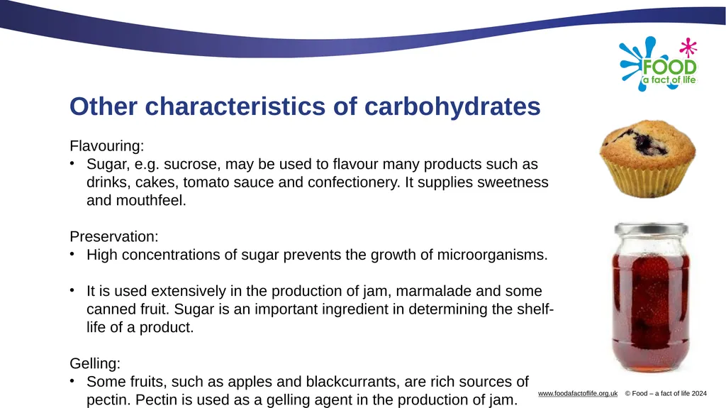Carbohydrates and their functional properties in - slide 14 of 15