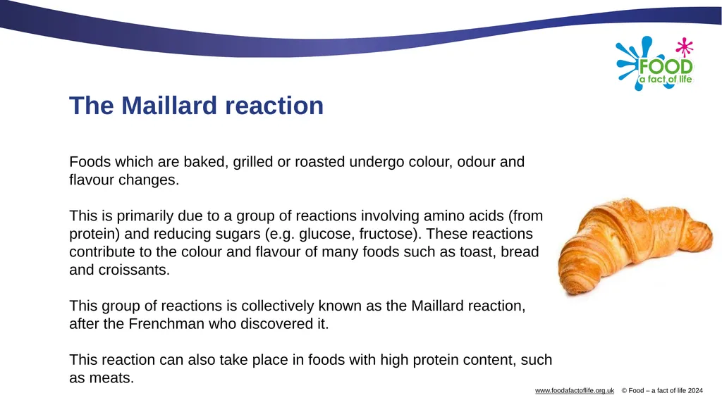 Carbohydrates and their functional properties in - slide 10 of 15