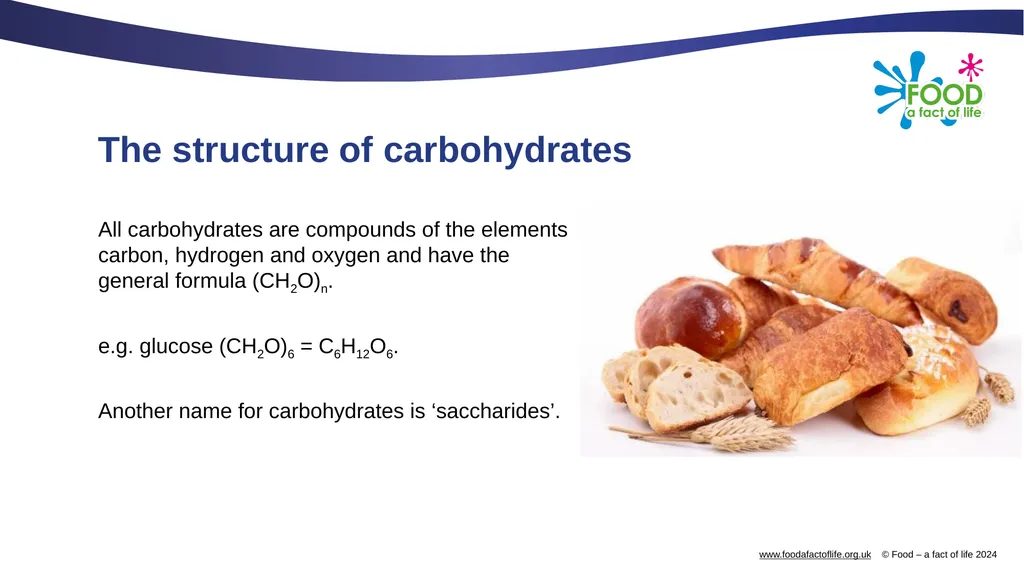 Carbohydrates and their functional properties in - slide 3 of 15