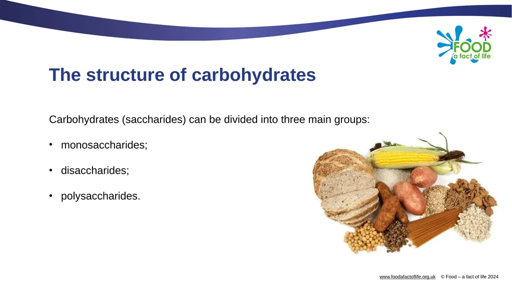Carbohydrates and their functional properties in - slide 4 of 15