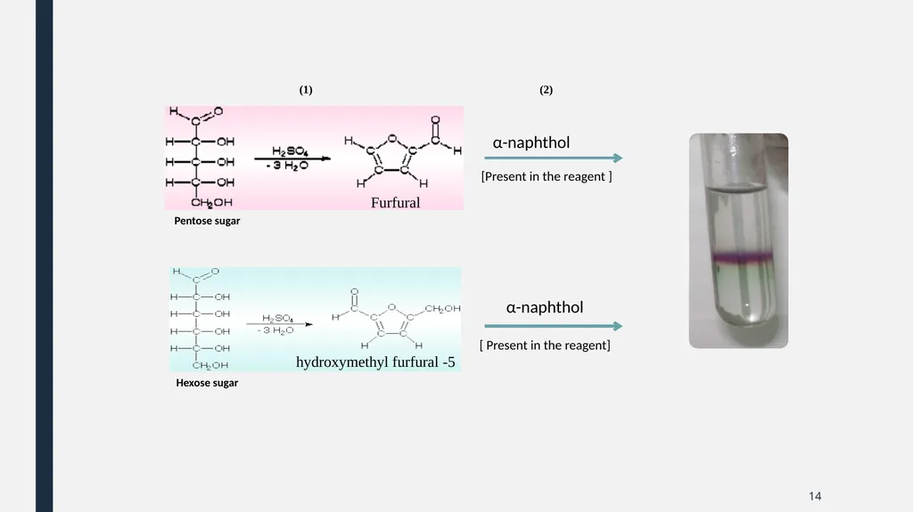 Qualitative Analysis of Carbohydrates First Year - slide 14 of 25