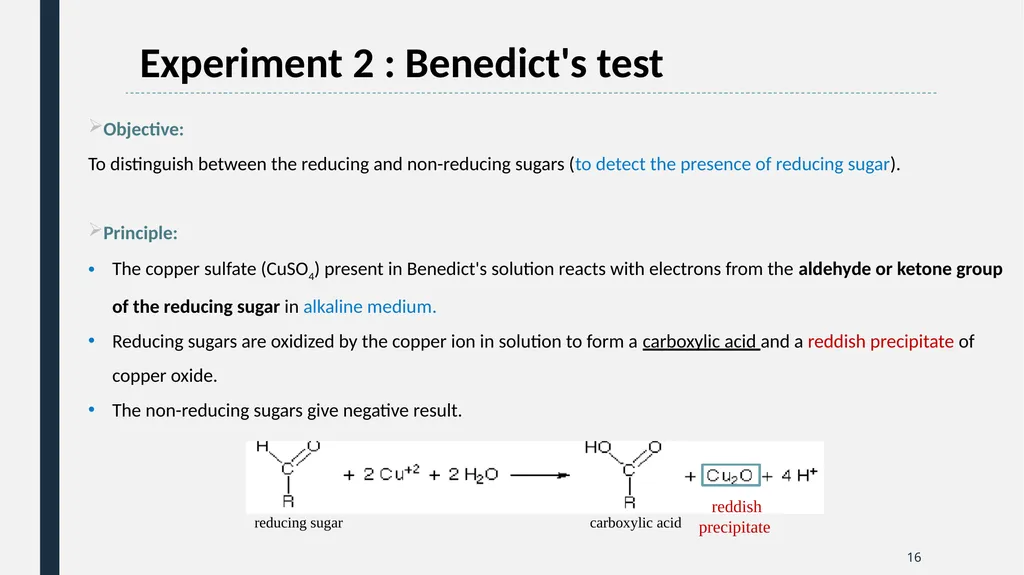 Qualitative Analysis of Carbohydrates First Year - slide 16 of 25