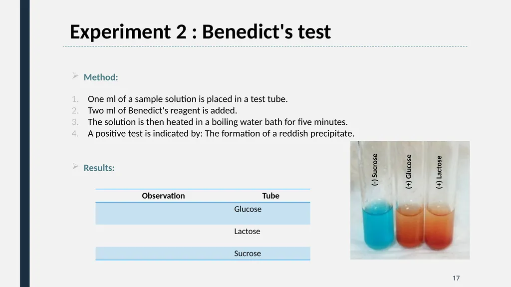 Qualitative Analysis of Carbohydrates First Year - slide 17 of 25
