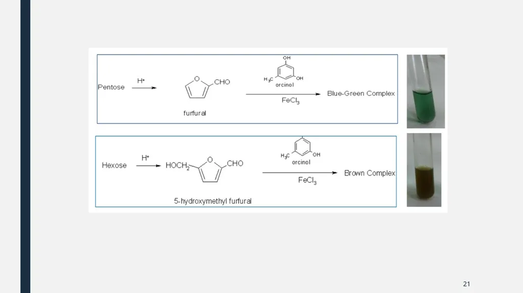 Qualitative Analysis of Carbohydrates First Year - slide 21 of 25