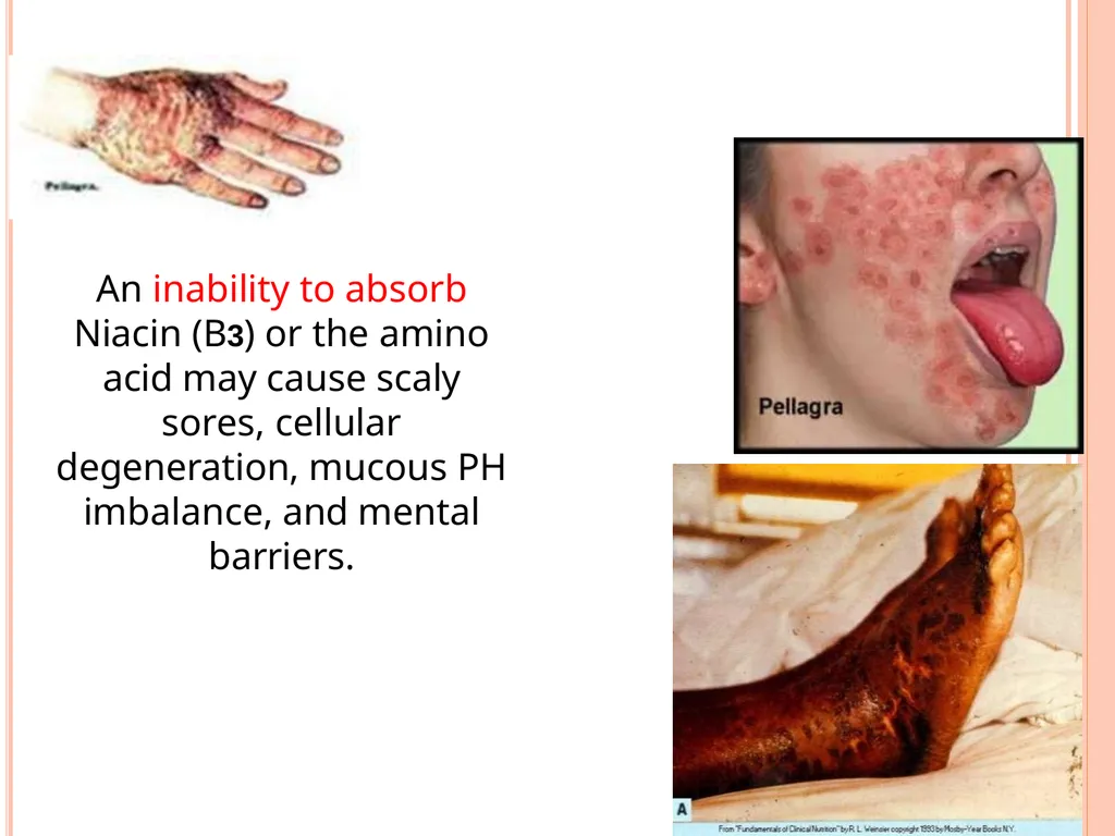 Balanced Diet and Nutrients What is balanced - slide 39 of 52