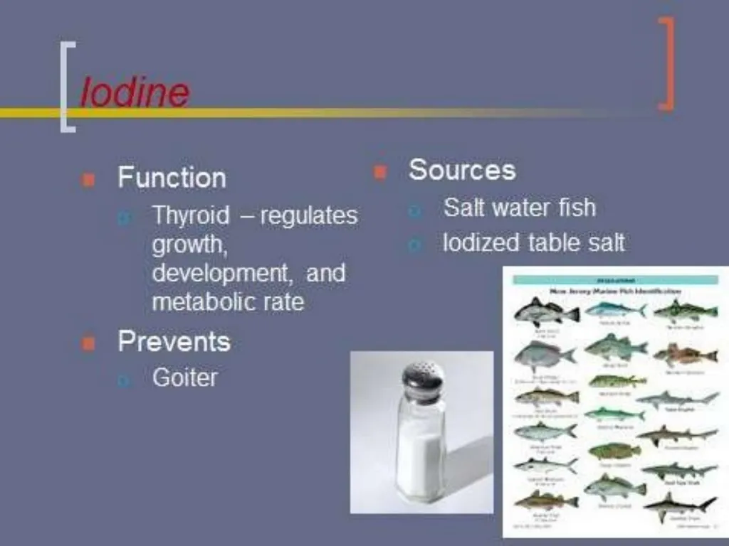 Balanced Diet and Nutrients What is balanced - slide 20 of 52