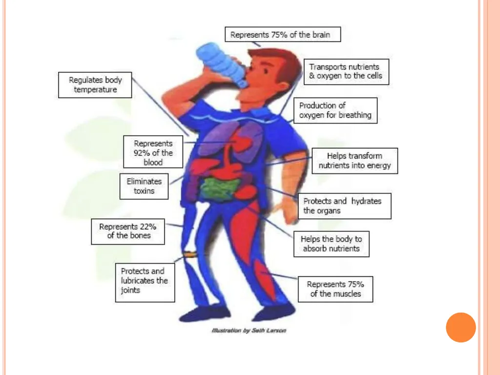 Balanced Diet and Nutrients What is balanced - slide 49 of 52