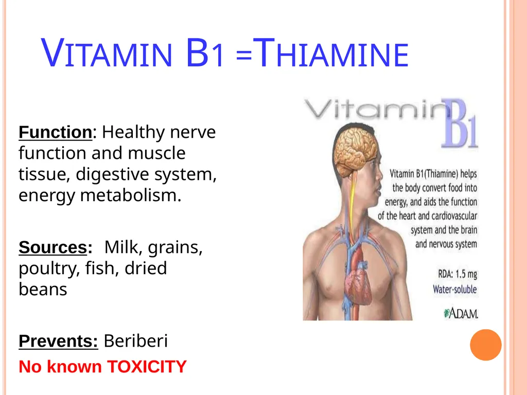 Balanced Diet and Nutrients What is balanced - slide 34 of 52