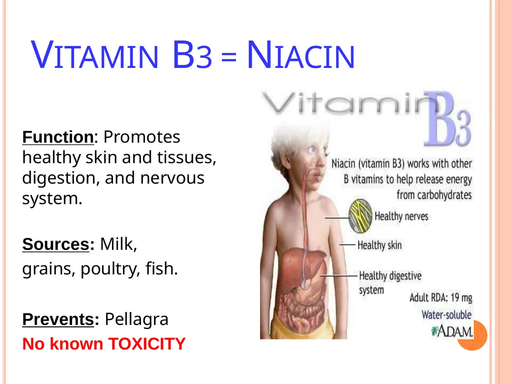 Balanced Diet and Nutrients What is balanced - slide 38 of 52