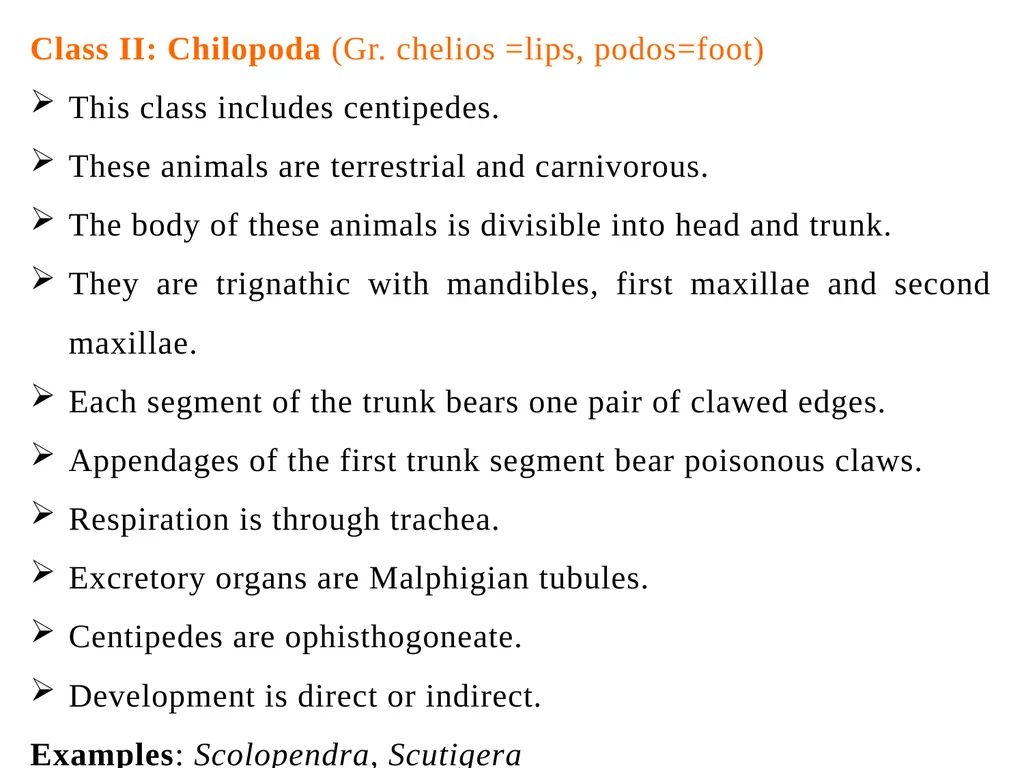 Arthropoda (General characteristics and - slide 13 of 15