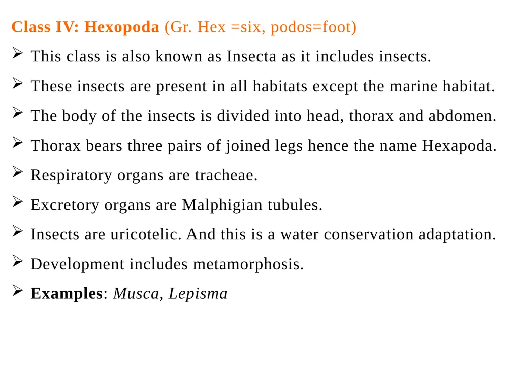 Arthropoda (General characteristics and - slide 15 of 15