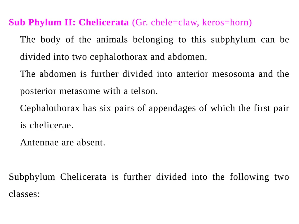 Arthropoda (General characteristics and - slide 9 of 15