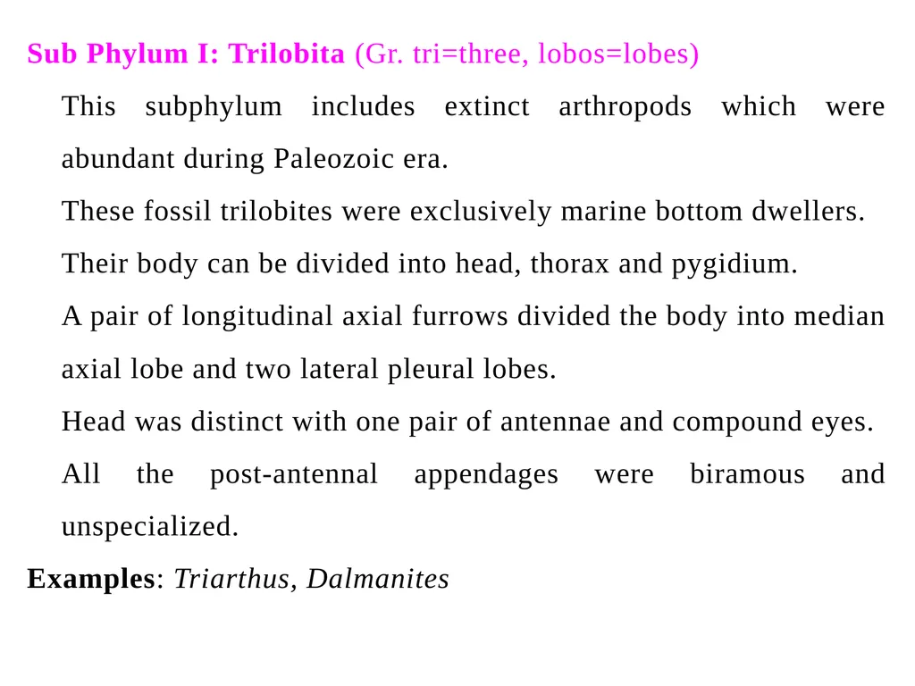 Arthropoda (General characteristics and - slide 8 of 15
