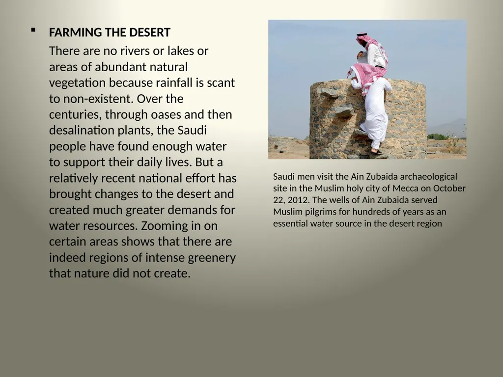 Geological Aspects of Saudi Arabia Presented By: - slide 25 of 27