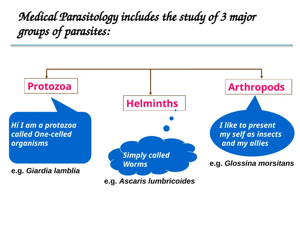 Introduction to Medical Parasitology 1st semester: - slide 15 of 18
