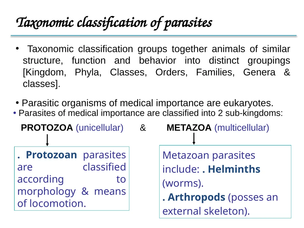 Introduction to Medical Parasitology 1st semester: - slide 13 of 18