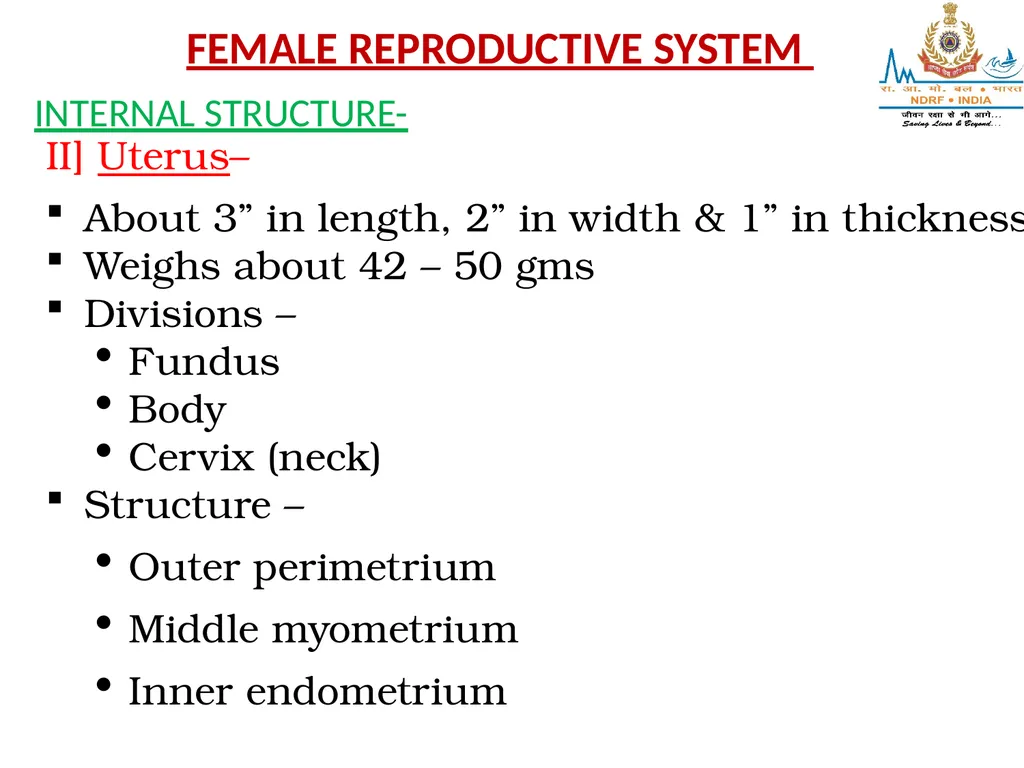 Lesson-6 REPRODUCTIVE STSTEM BY JITENDER YADAV - slide 11 of 24