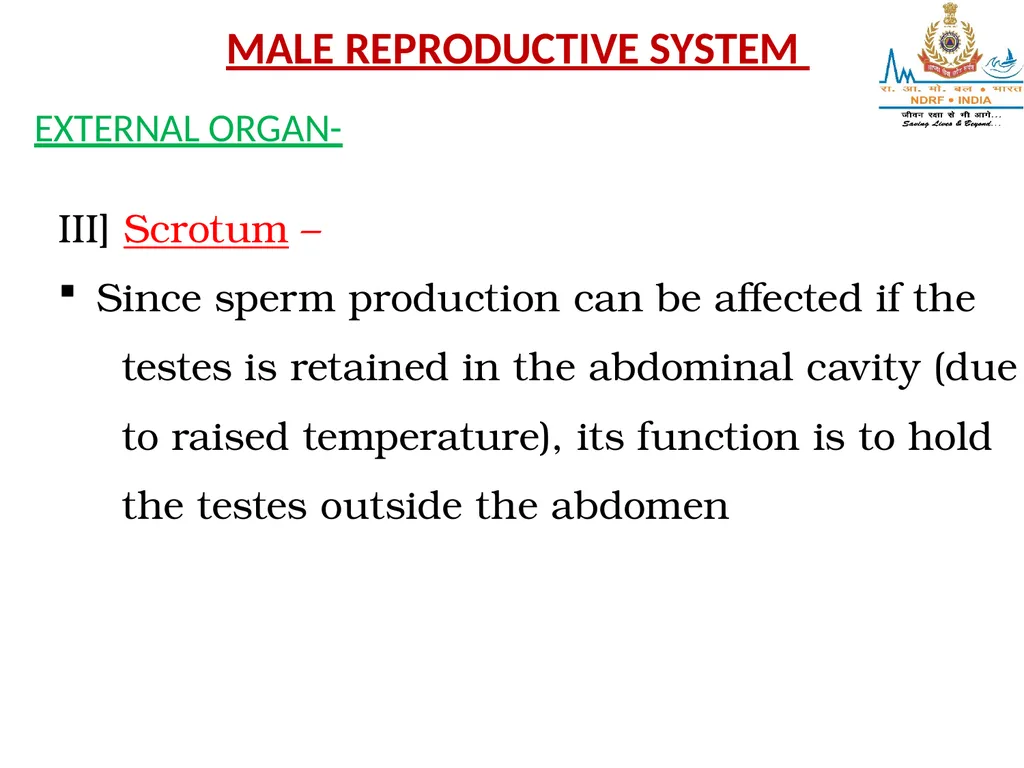 Lesson-6 REPRODUCTIVE STSTEM BY JITENDER YADAV - slide 19 of 24