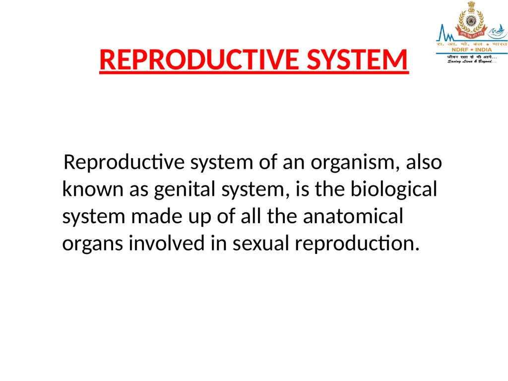 Lesson-6 REPRODUCTIVE STSTEM BY JITENDER YADAV - slide 3 of 24