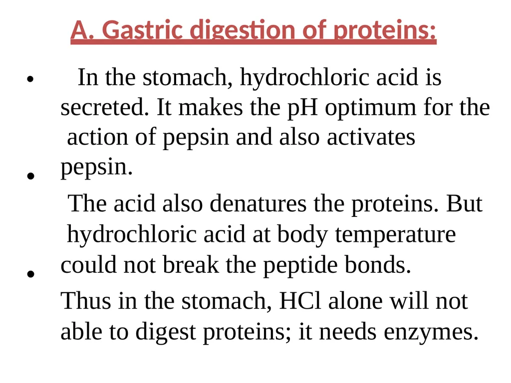 Protein metabolism and Urea cycle Digestion of - slide 4 of 39