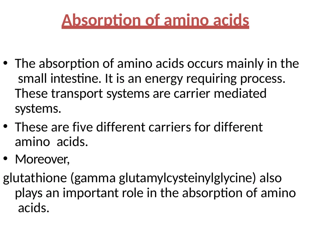 Protein metabolism and Urea cycle Digestion of - slide 11 of 39