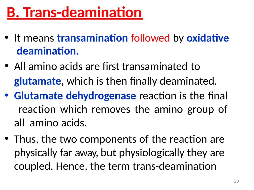 Protein metabolism and Urea cycle Digestion of - slide 20 of 39