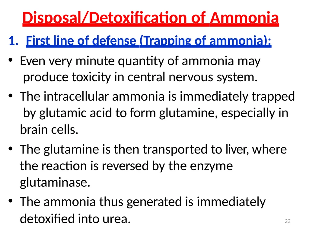 Protein metabolism and Urea cycle Digestion of - slide 29 of 39