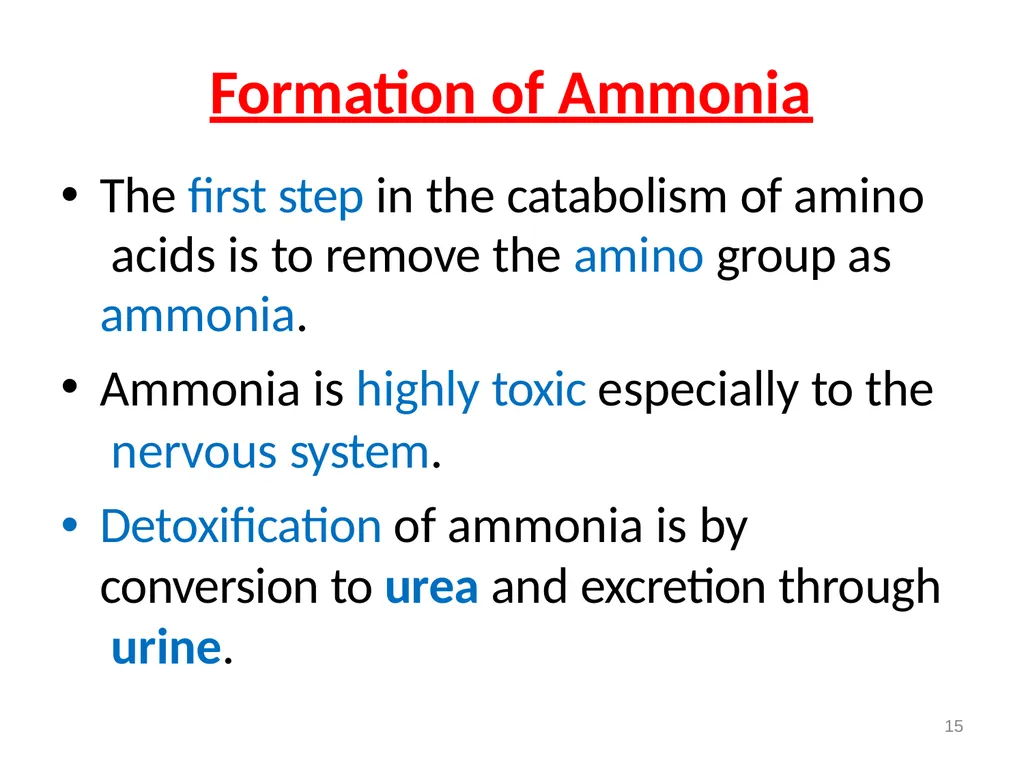 Protein metabolism and Urea cycle Digestion of - slide 15 of 39