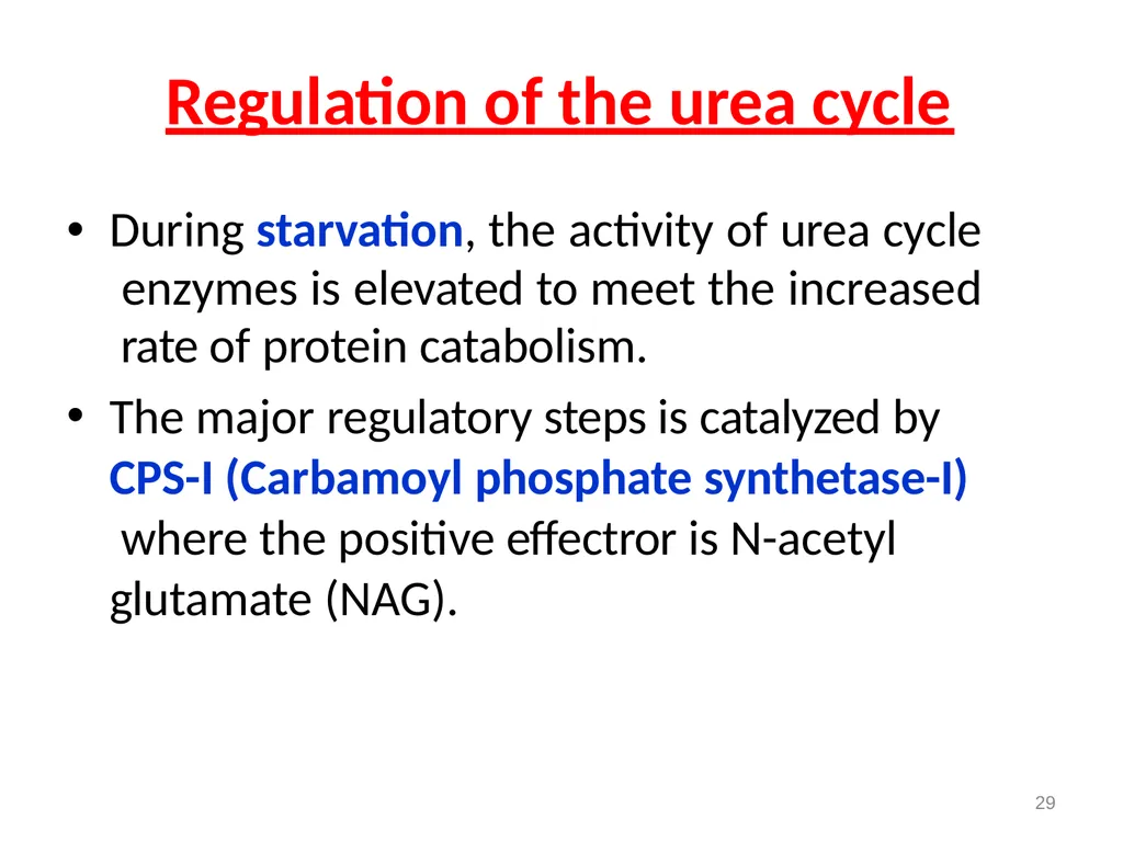 Protein metabolism and Urea cycle Digestion of - slide 36 of 39