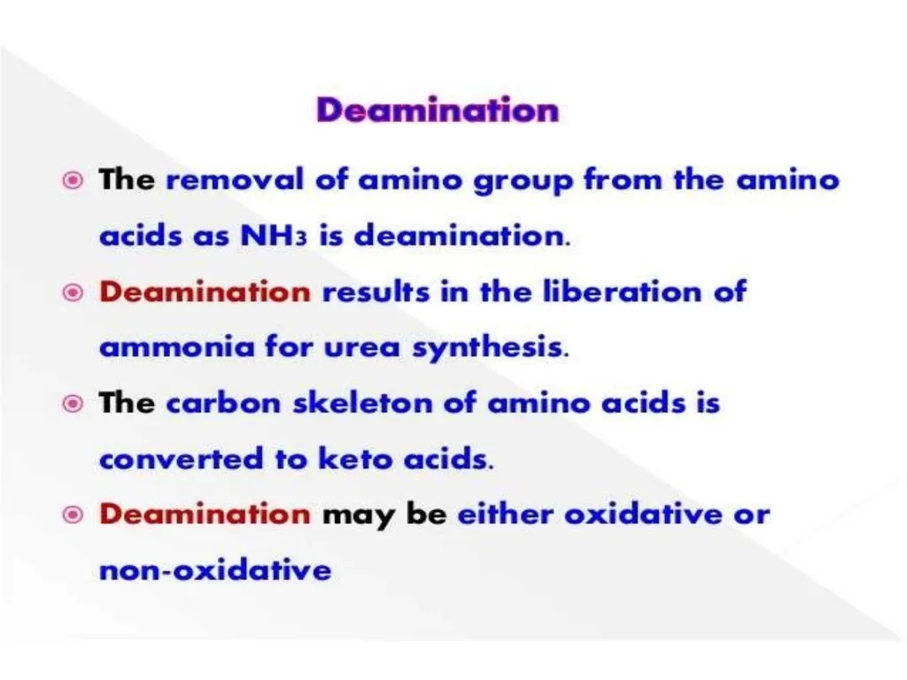 Protein metabolism and Urea cycle Digestion of - slide 21 of 39