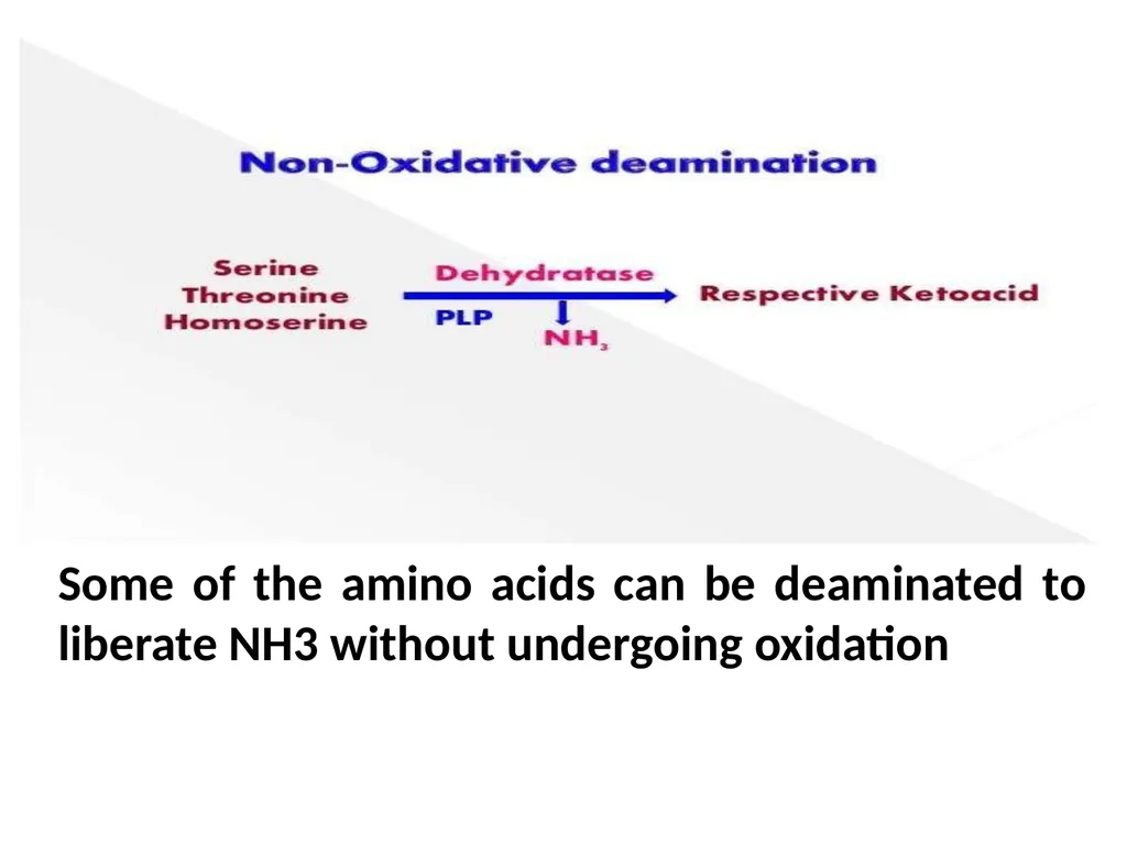 Protein metabolism and Urea cycle Digestion of - slide 26 of 39