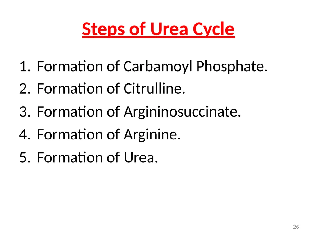 Protein metabolism and Urea cycle Digestion of - slide 33 of 39